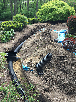 Drainage Solutions Highland Park